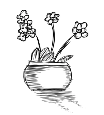 More pot plants